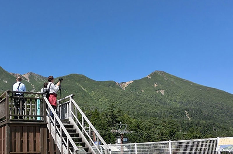 御岳纜車帶您探訪高山植物園！